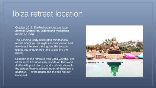 Book a ZenmaX energising martial art - qigong intermezzo, or group balancing session for your yoga retreat, or any other workshop or seminar. 